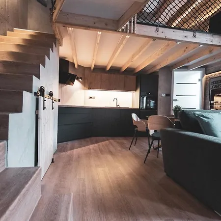 Gami Ex-factory Lofts * Lublana
