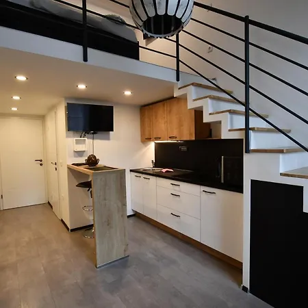 Gami Ex-factory Lofts 公寓 卢布尔雅那