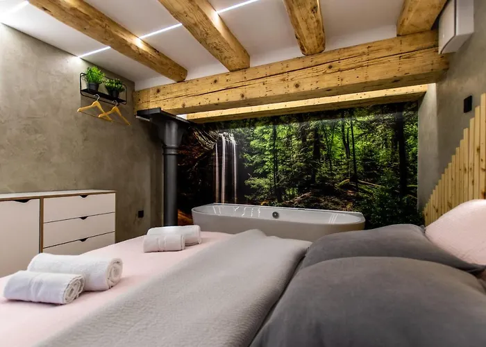 Gami Ex-factory Lofts Laibach